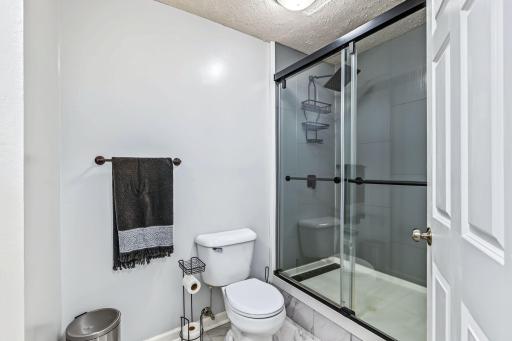 Lower Level Bathroom