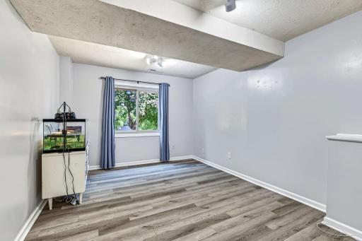 Bedroom 3 (Lower Level)