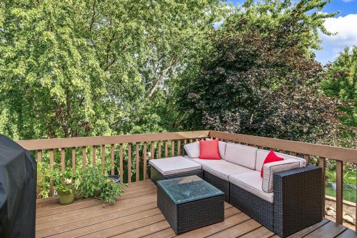 Low Maintenance Deck!