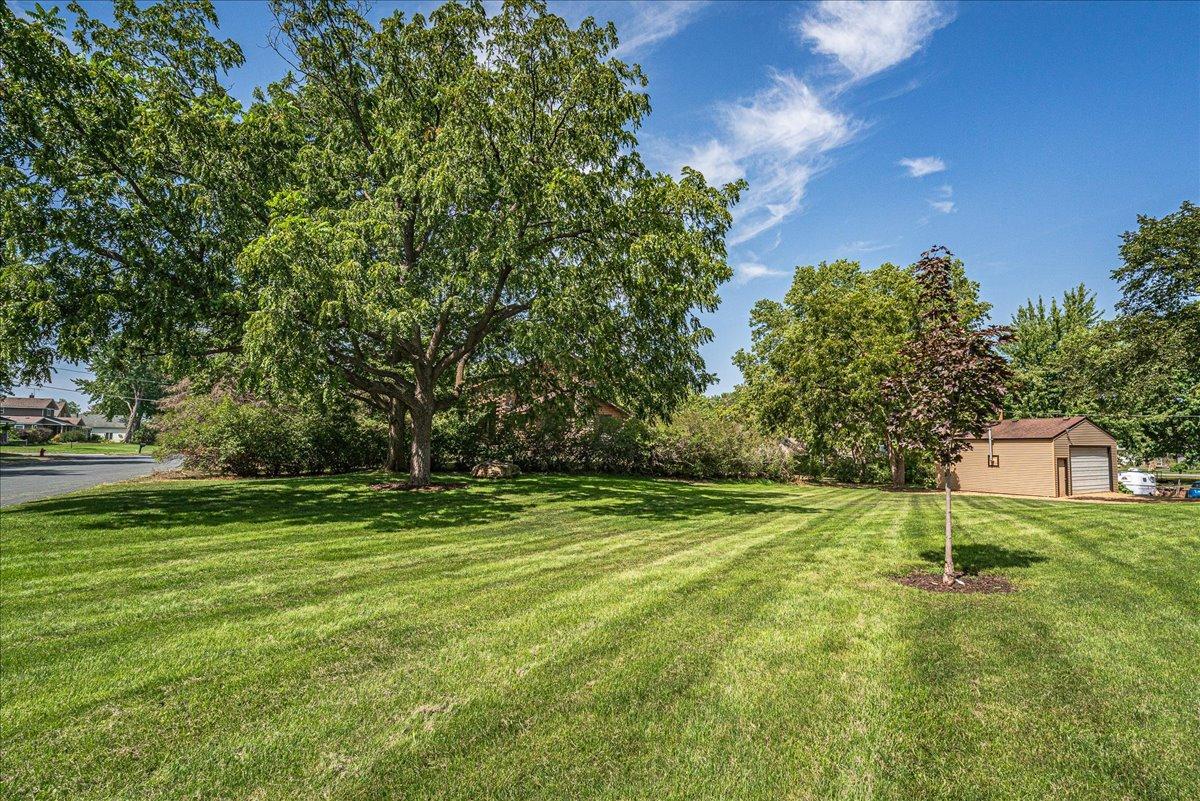 46-Large Yard.jpg