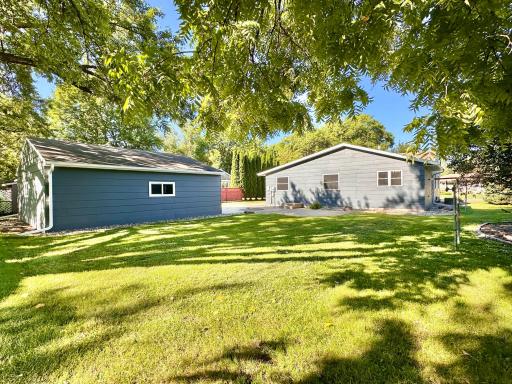 4 backyard.jpg