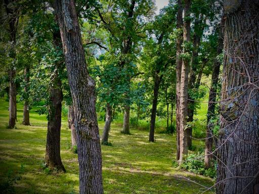 3511 Hoeger Lane, Albert Lea, MN 56007