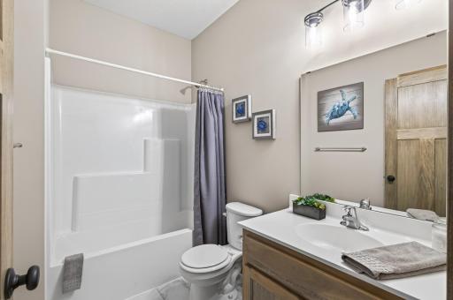 The main floor full bathroom.