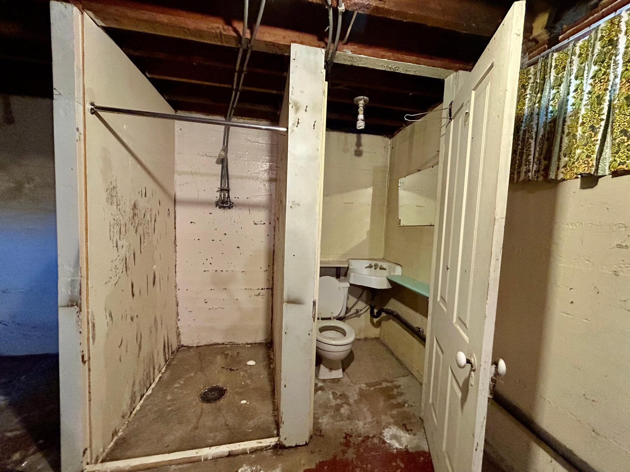 Basement Bathroom