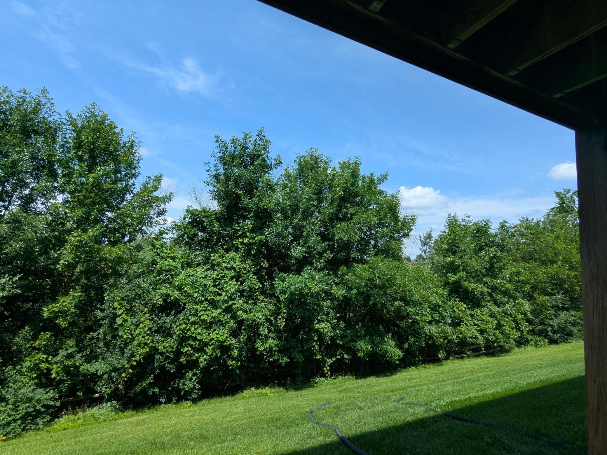 26_beyc6a652c0434353.jpg