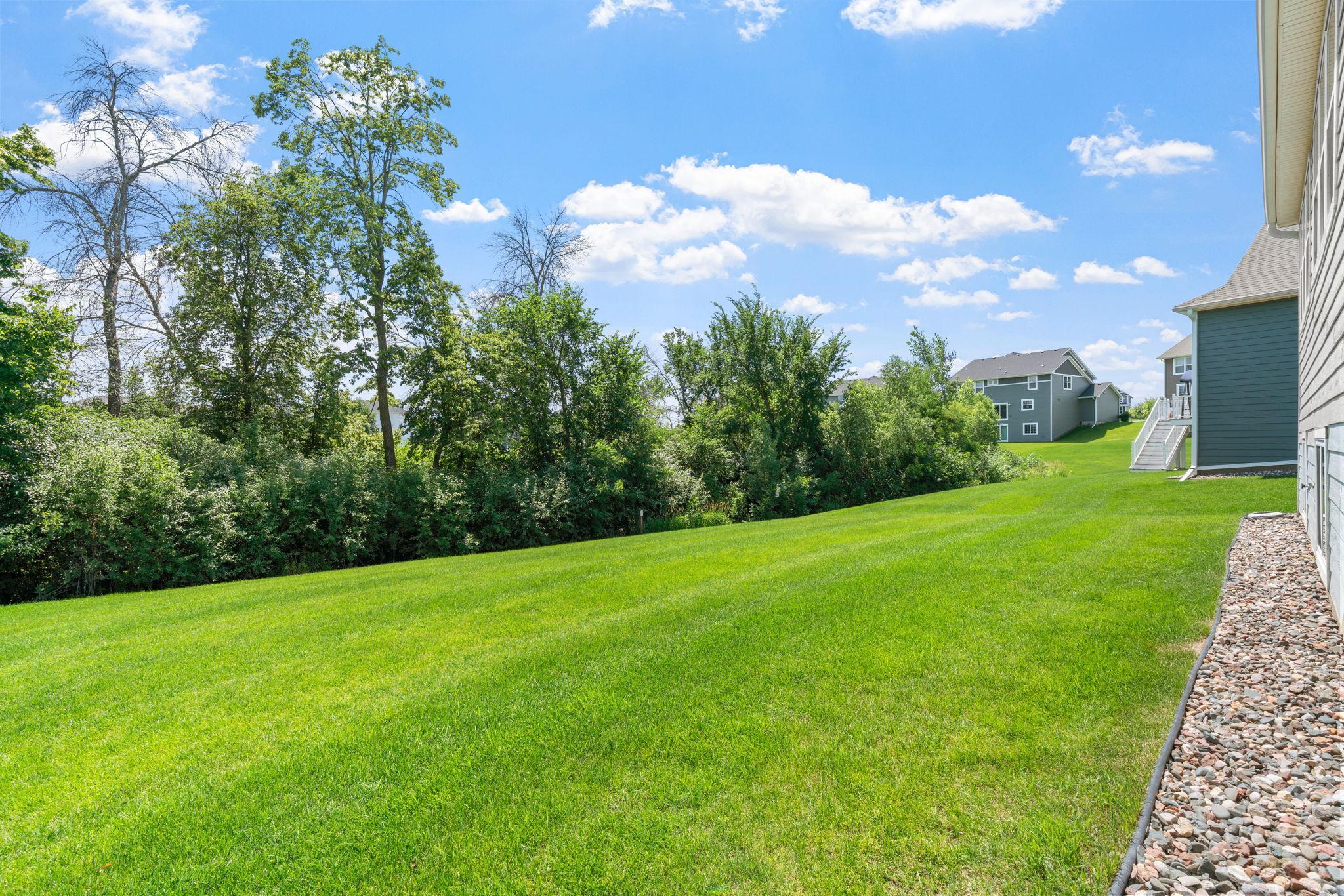Backyard w/ mature trees and privacy