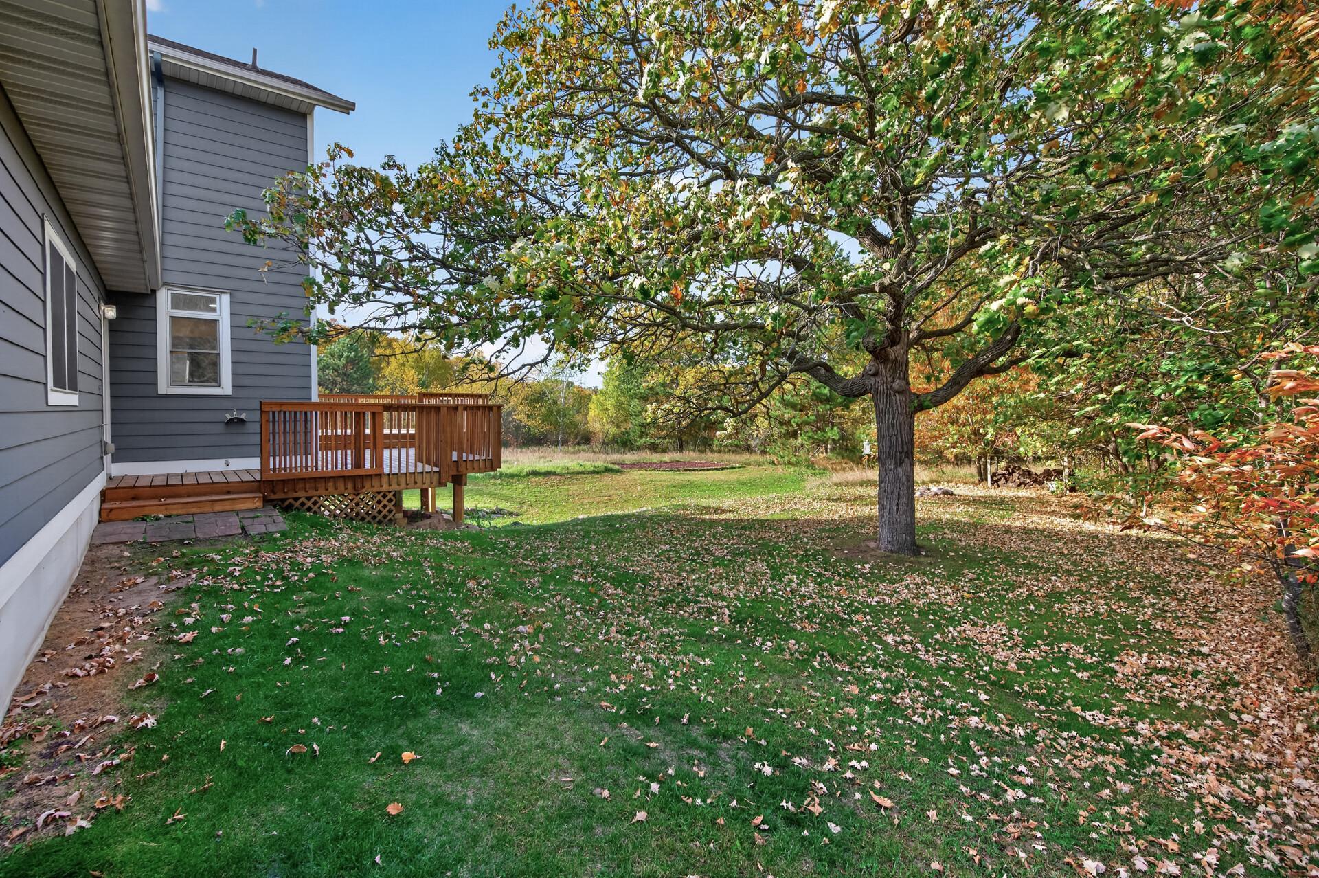 Backyard.jpg