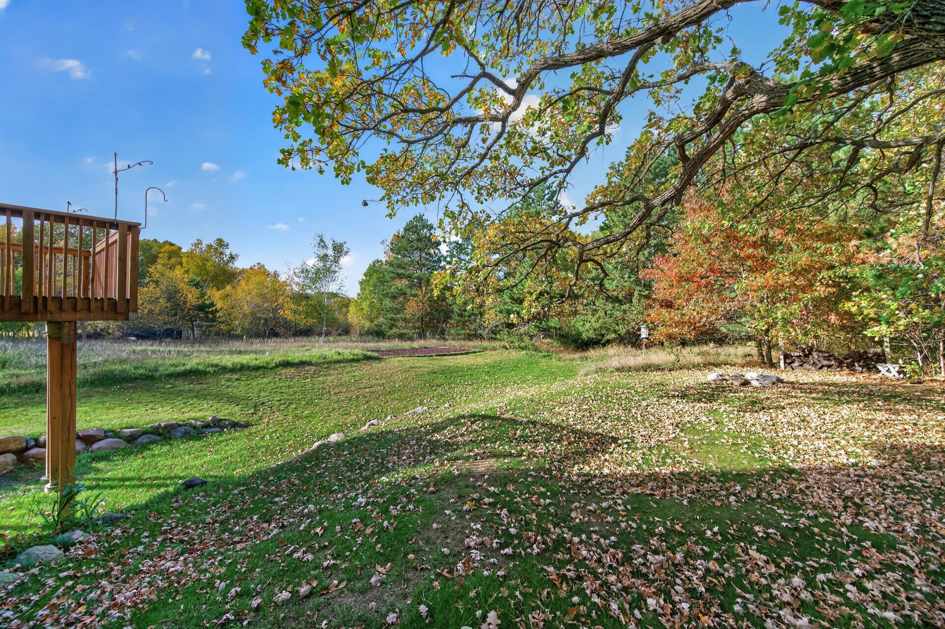Back yard.jpg