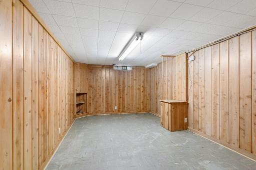 Lower Level Family Room