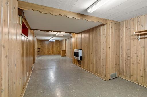 Lower Level Family Room
