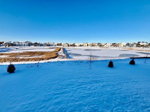 Amazing Back Yard w/ Massive Community Pond!