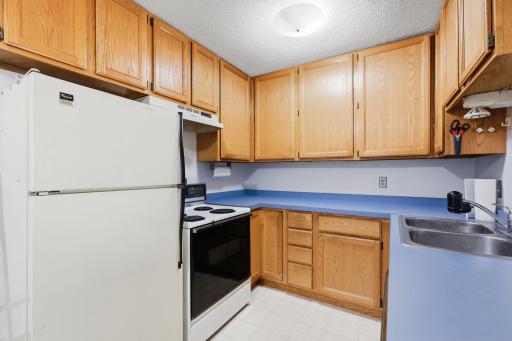 Lots of cabinets in the kitchen