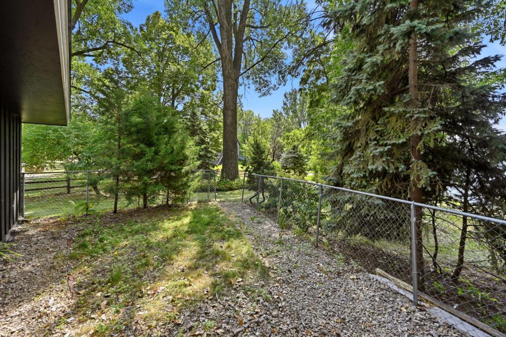 Fenced in dog run!