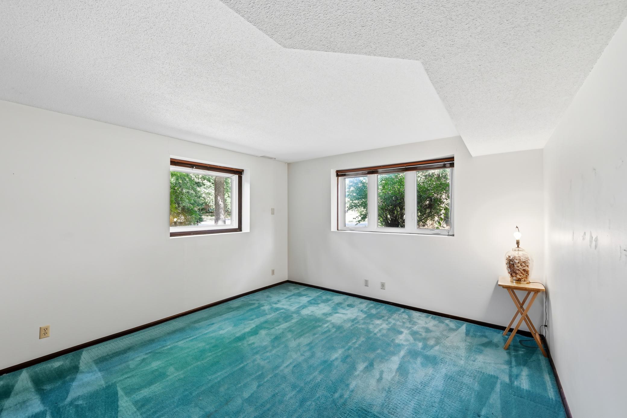 2nd bedroom in the lower level with newer windows!