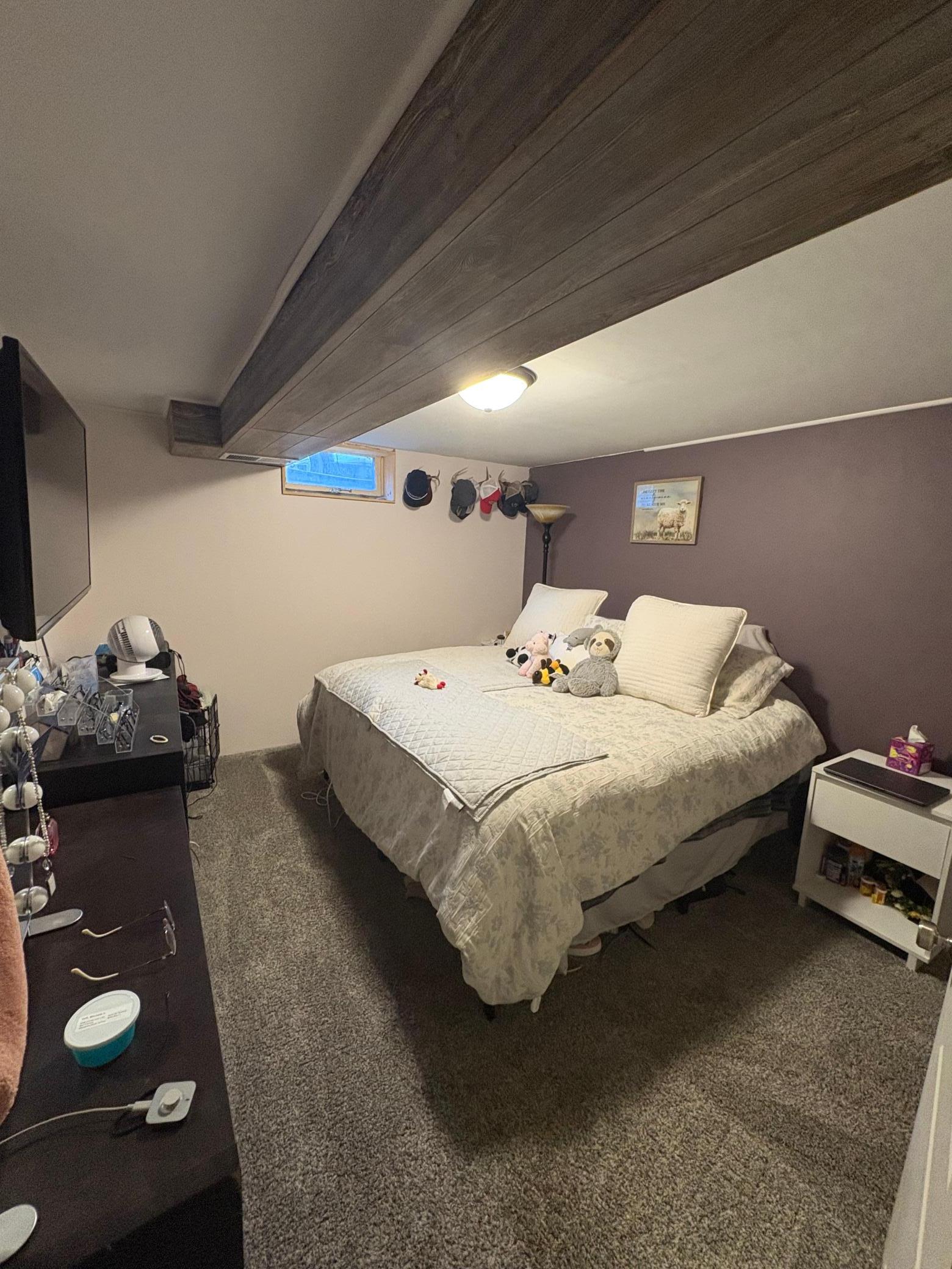 Downstairs "bedroom"