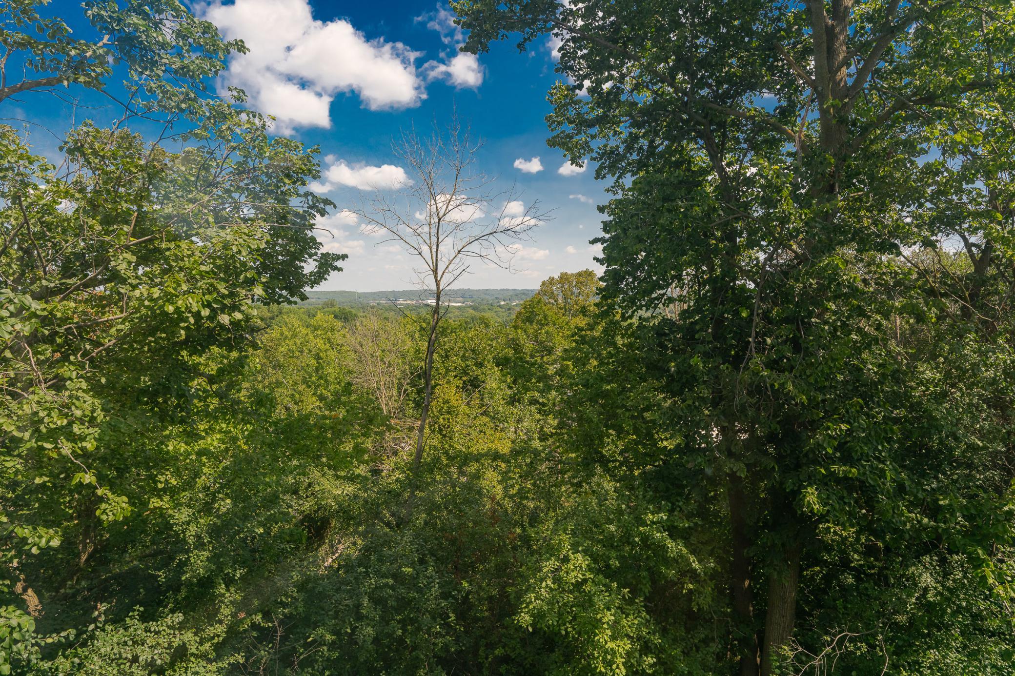 DSC_9448.jpg