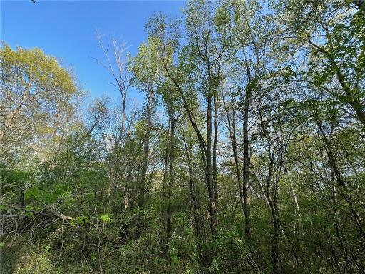 TBD 115th Street, Amery, WI 54001