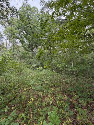 TBD 115th Street, Amery, WI 54001