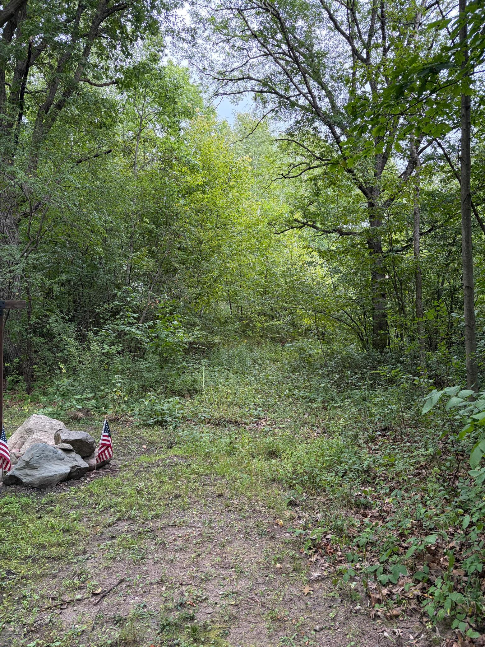 Driveway ingress, shared with the property to the north.