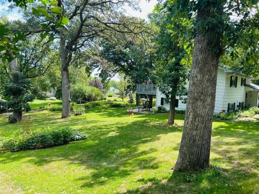 Spacious Yard