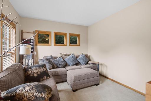 3760 Turtle Road, Minnetrista, MN 55375
