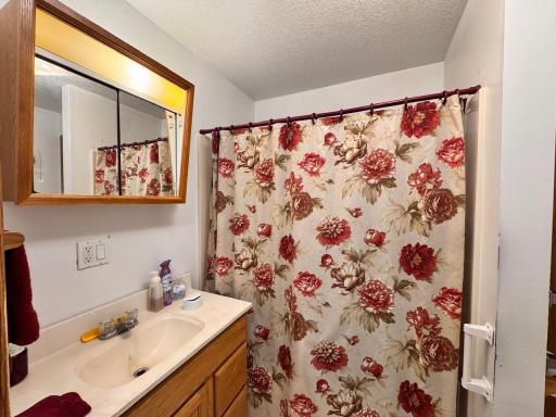 1010 Portland Street, Villard, MN 56385