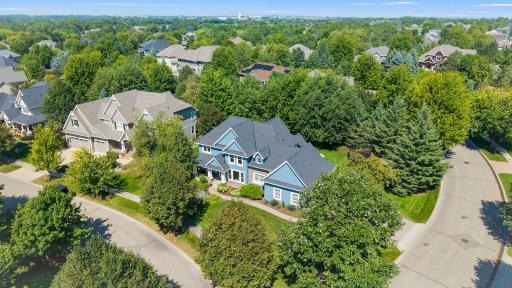 Aerial view of the spacious corner lot and all the mature trees.
