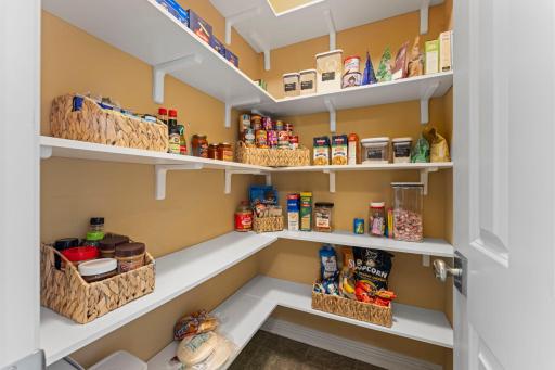 Walk-in pantry closet just off the kitchen in the mudroom.