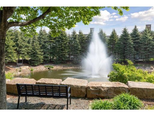 Dancing Waters is a place where residents can enjoy a low-maintenance lifestyle while still having access to recreational perks and top schools.