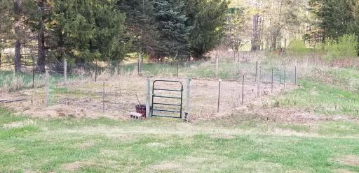 fenced in garden area.jpg