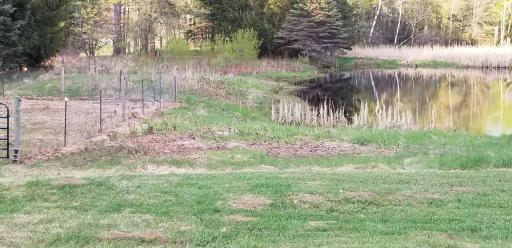 pond.jpg