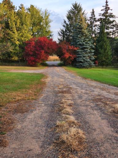 fall color 2025.jpg