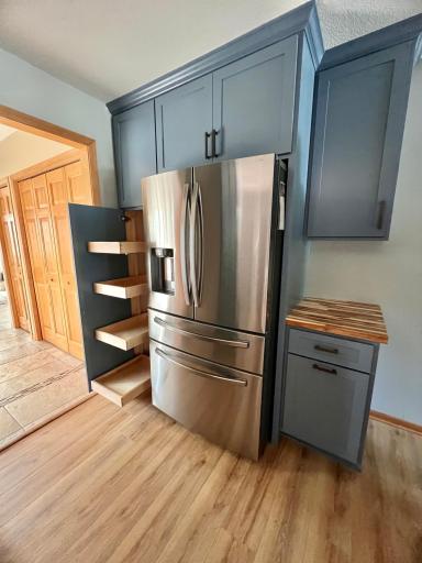 New refrigerator and pull out pantry.jpeg