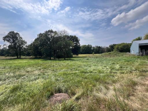 Pasture with barn 3 to the right.jpeg