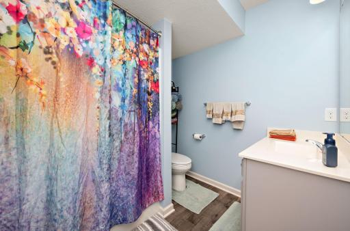 Lower level full bath.