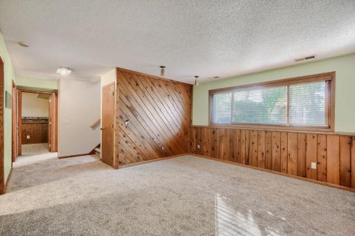 Lower Level Family Room gets a lot of natural light and there is storage under the stairs.