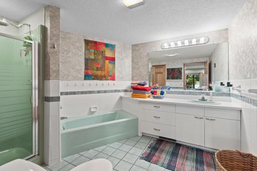 Walkout Level Full Bath