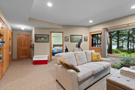 Walkout Level Family Room