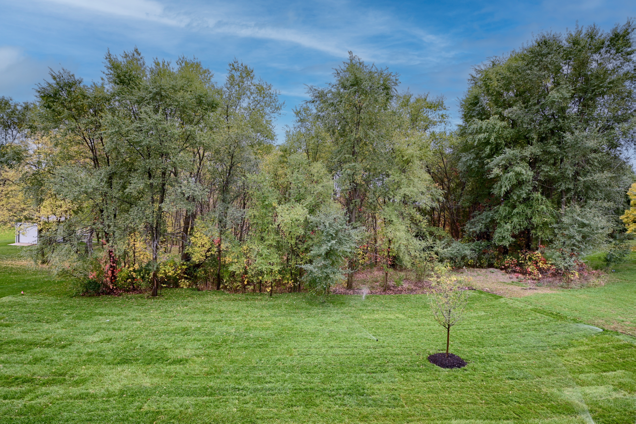 30 - Backyard.png