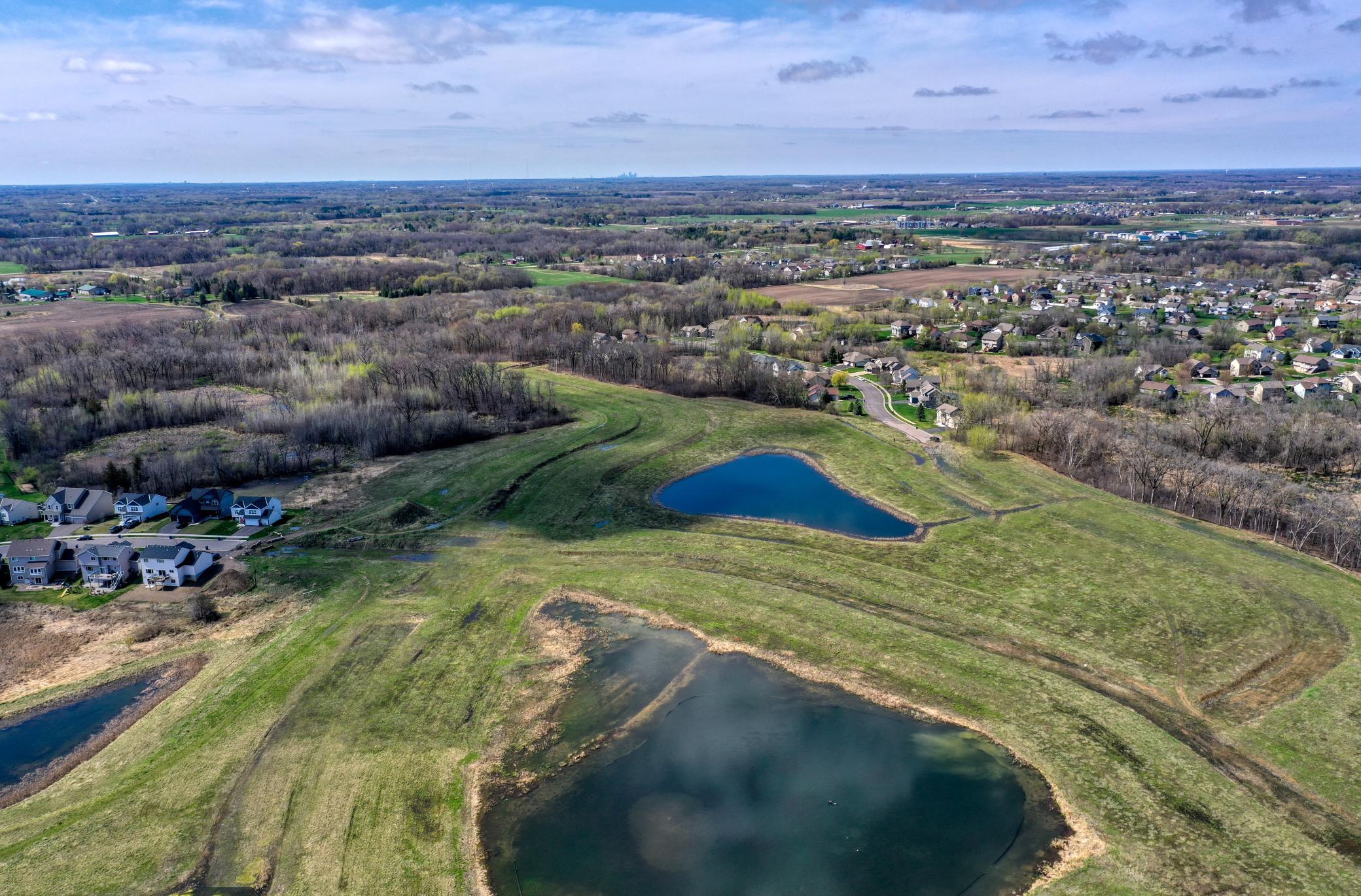 DJI_0981.jpg