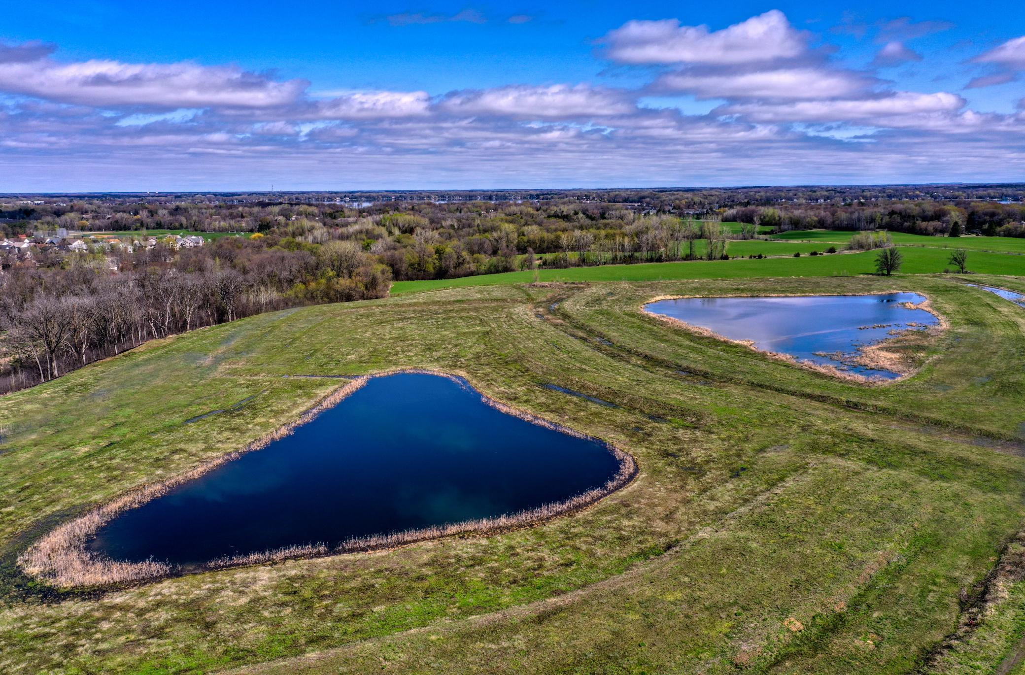 DJI_0931.jpg