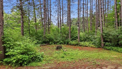 24-DJI_20260820101710_0019_D.jpg