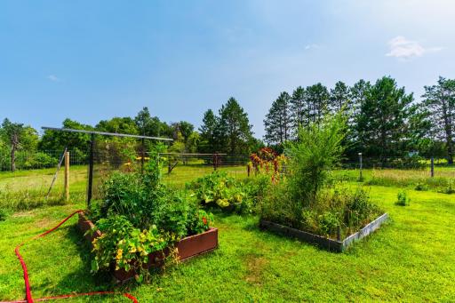 Raised Garden Beds.jpeg