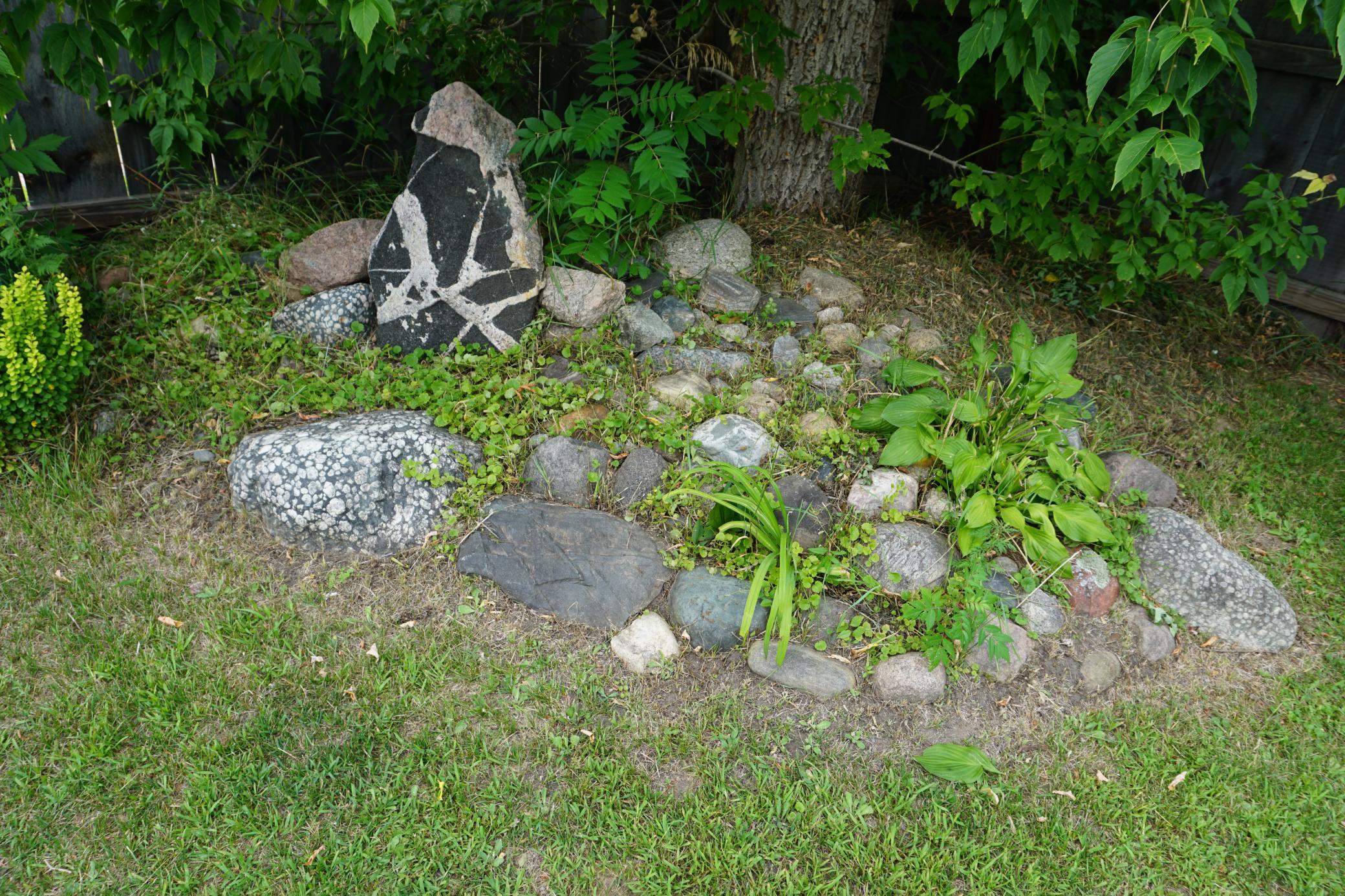 Rock Garden.JPG