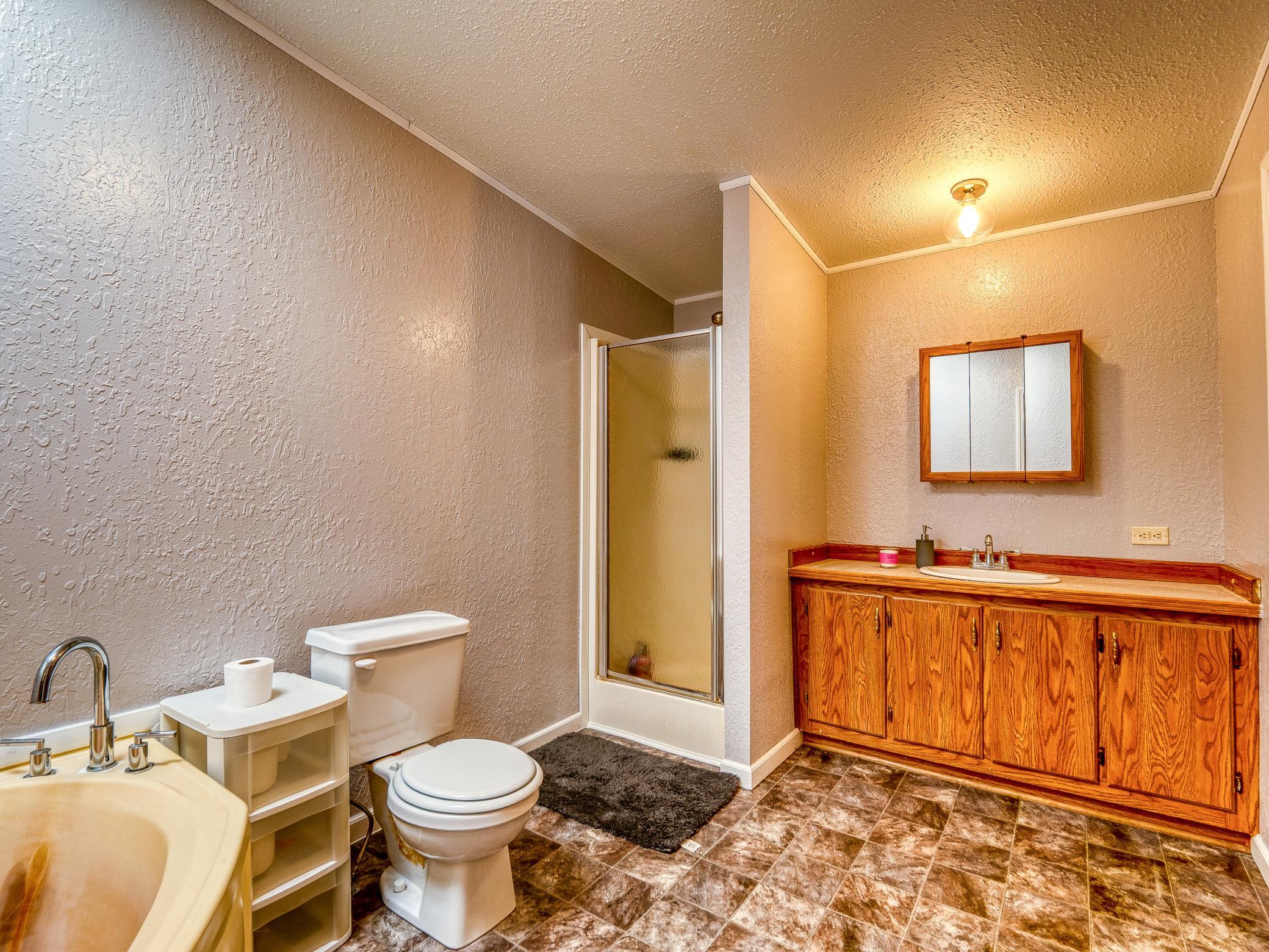 Separate Tub and Shower in the Large Primary Bath