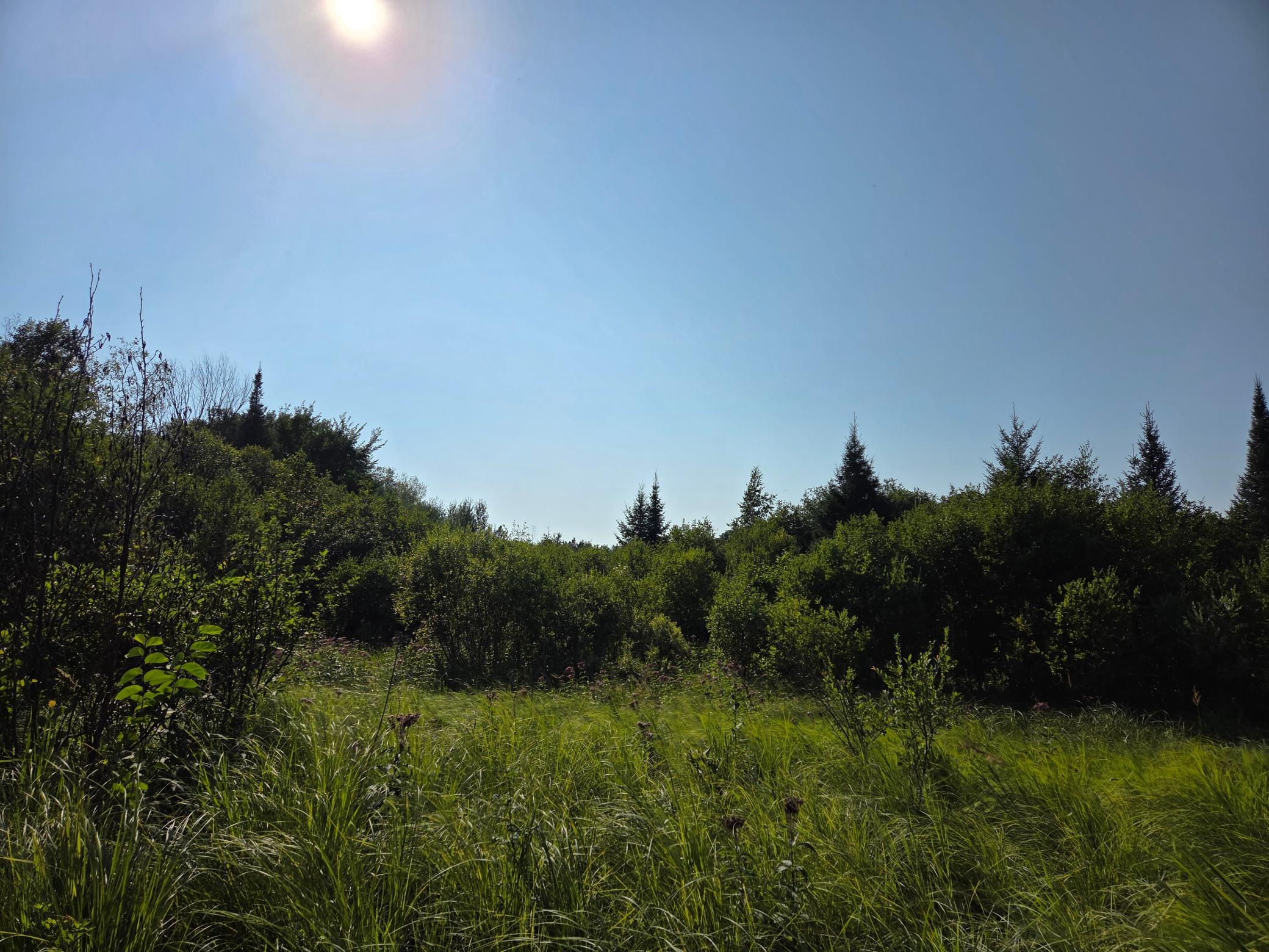 20260806_165913.jpg