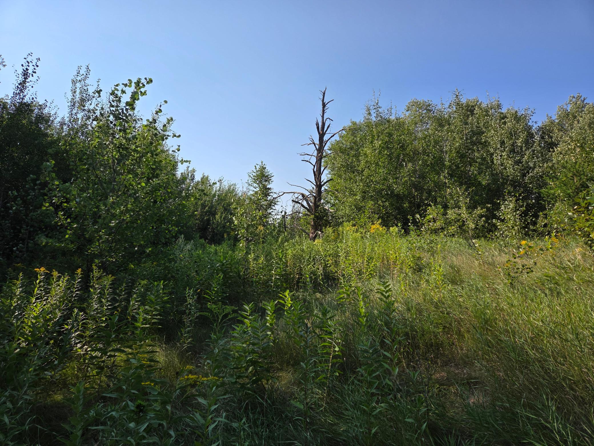 20260806_170732.jpg