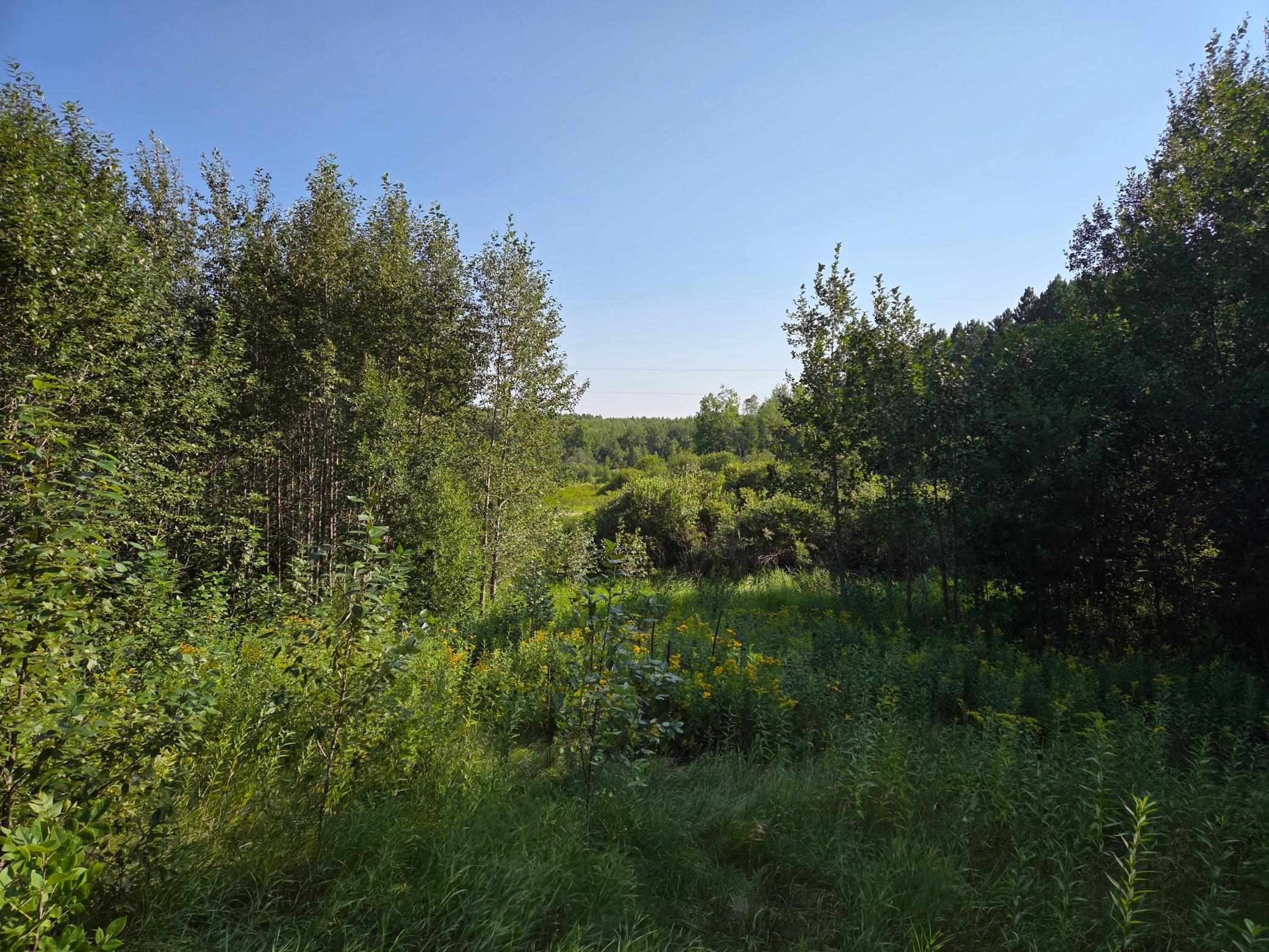 20260806_170715.jpg