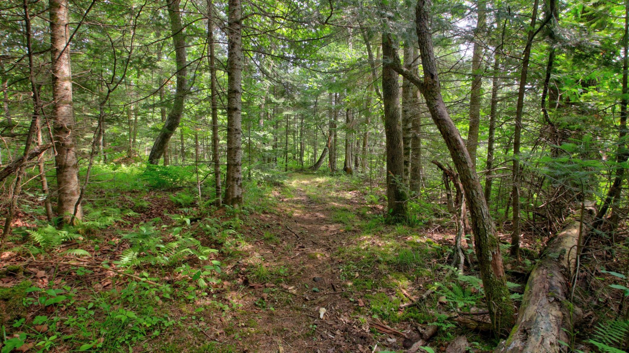 059_img_6560_371.jpg