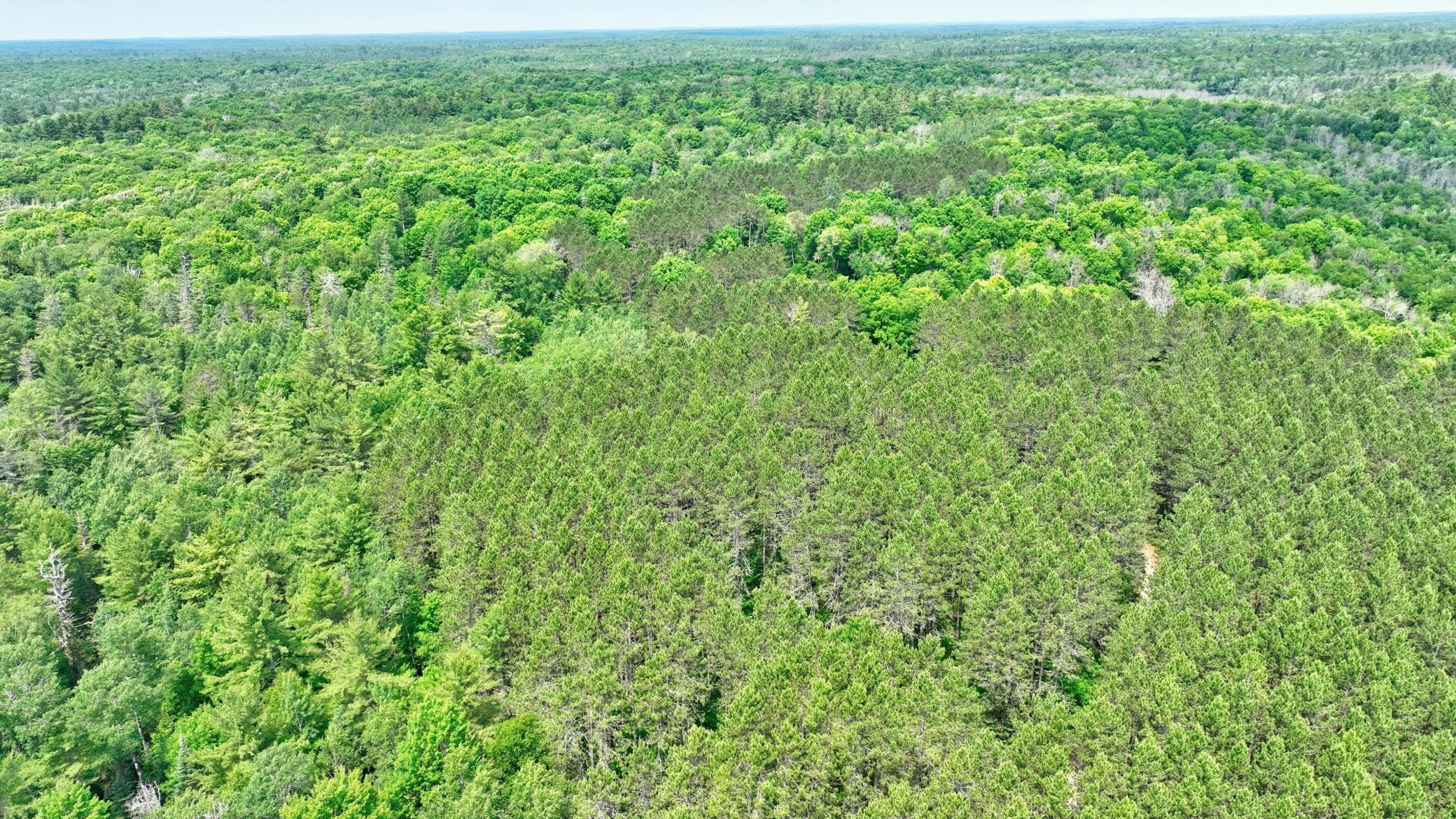 068_dji_0751_125.jpg